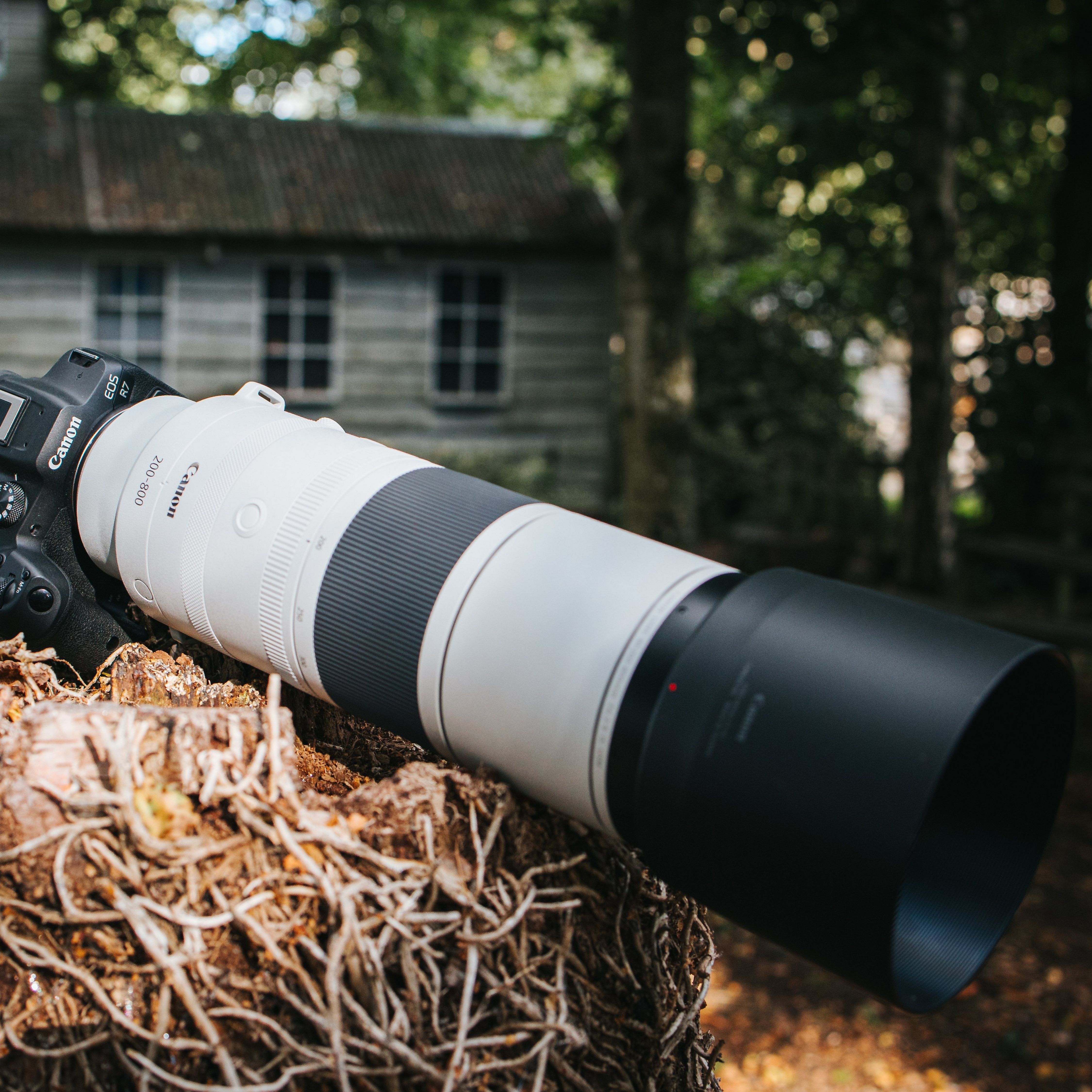 Objectif d'appareil photo sur une souche d'arbre, avec une cabane en arrière-plan flou.
