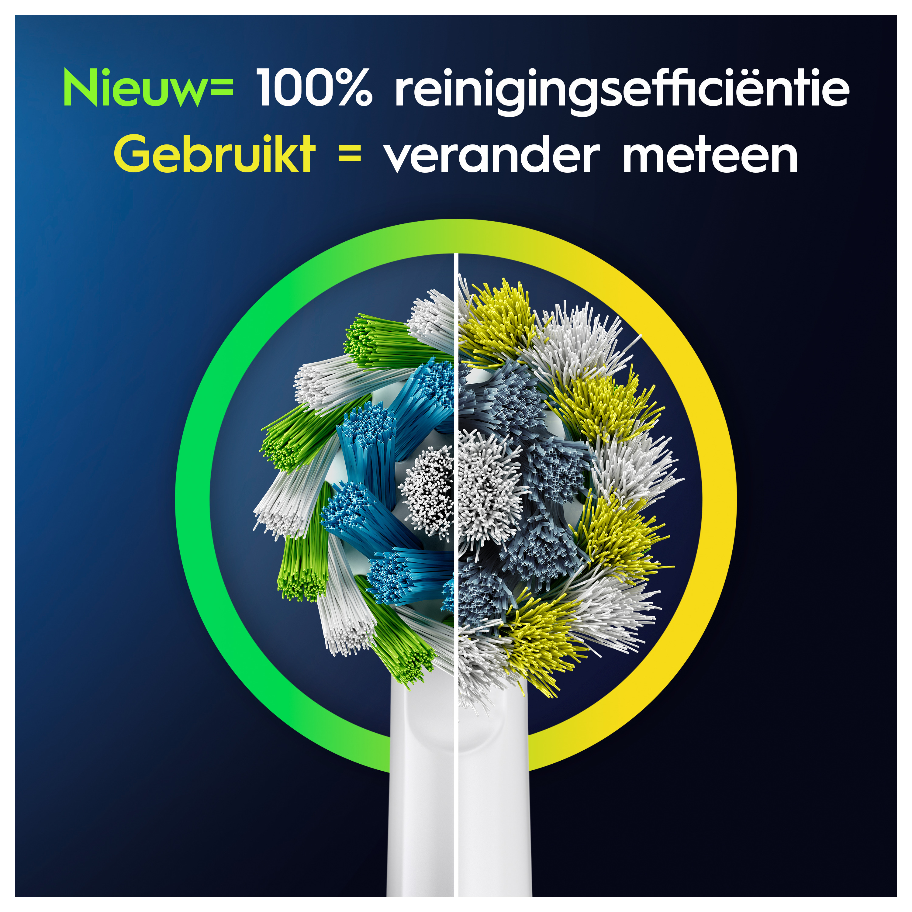 Tête de brosse à dents avec poils blancs, bleus et jaunes, propre vs usagée.