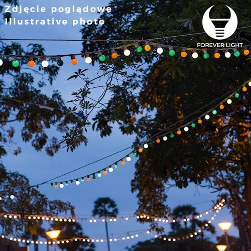 Światła sznurkowe z żarówkami w różnych kolorach wiszą na gałęziach drzew o zmierzchu.