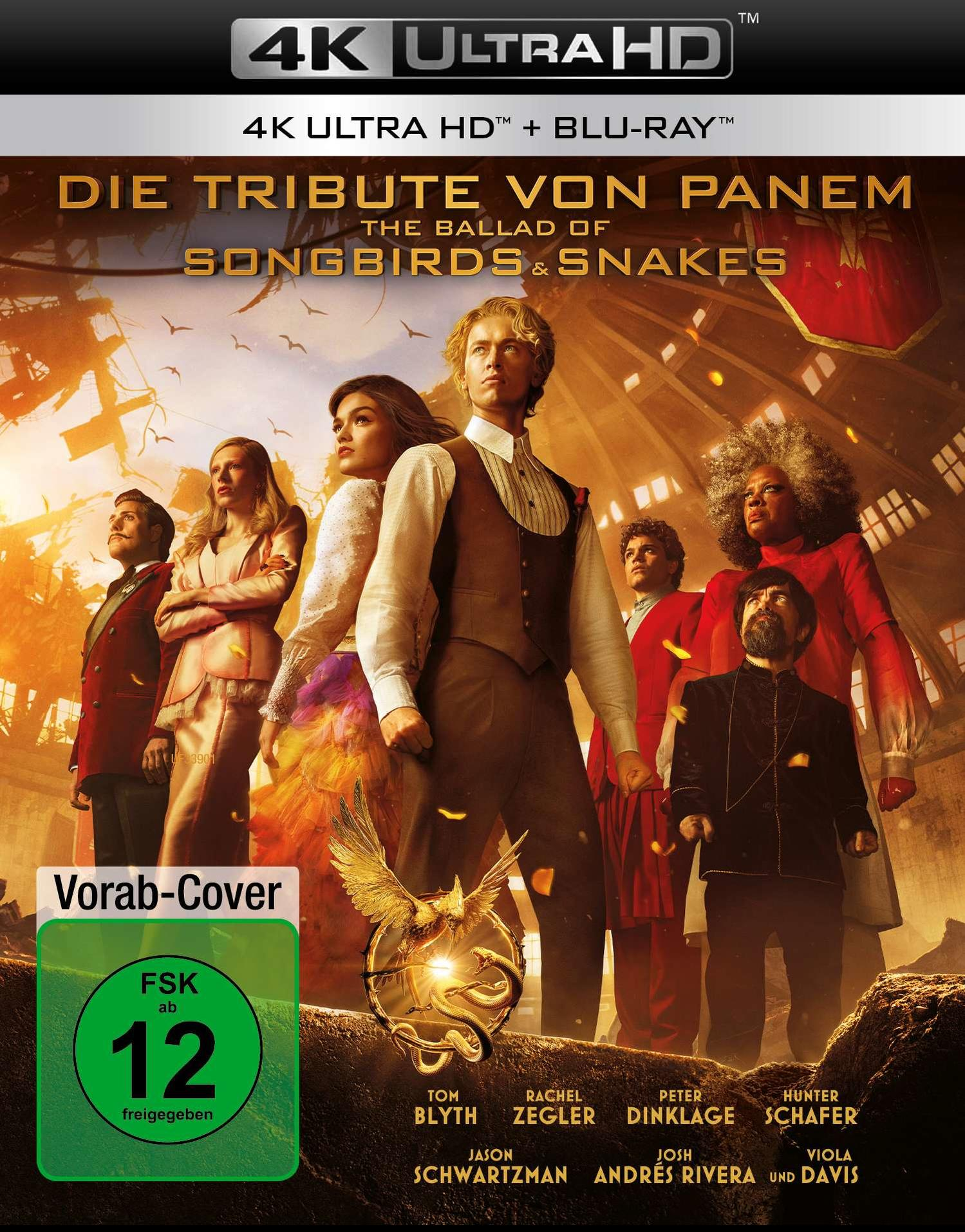 Filmcover: Die Tribute von Panem, mit Schauspielern und Titeltext auf farbenfrohem Hintergrund.
