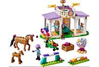 Klocki LEGO Friends - Szkolenie koni 41746