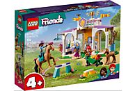 Klocki LEGO Friends - Szkolenie koni 41746
