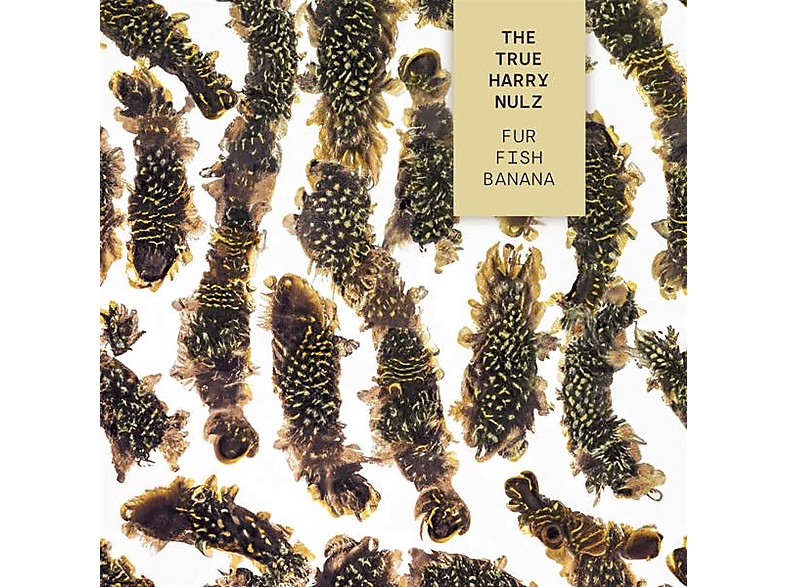 The True Harry Nulz – Fur Fish Banana – (CD)