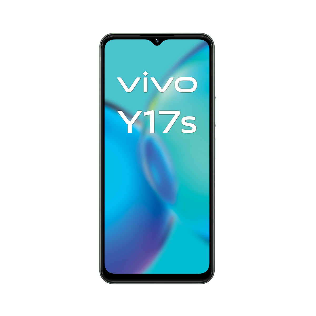 Beyaz metinli siyah telefon: vivo Y17s. Arka plan mavi ve yeşille bulanık.