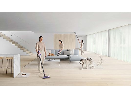 DYSON V8 ABSOLUTE -  ()