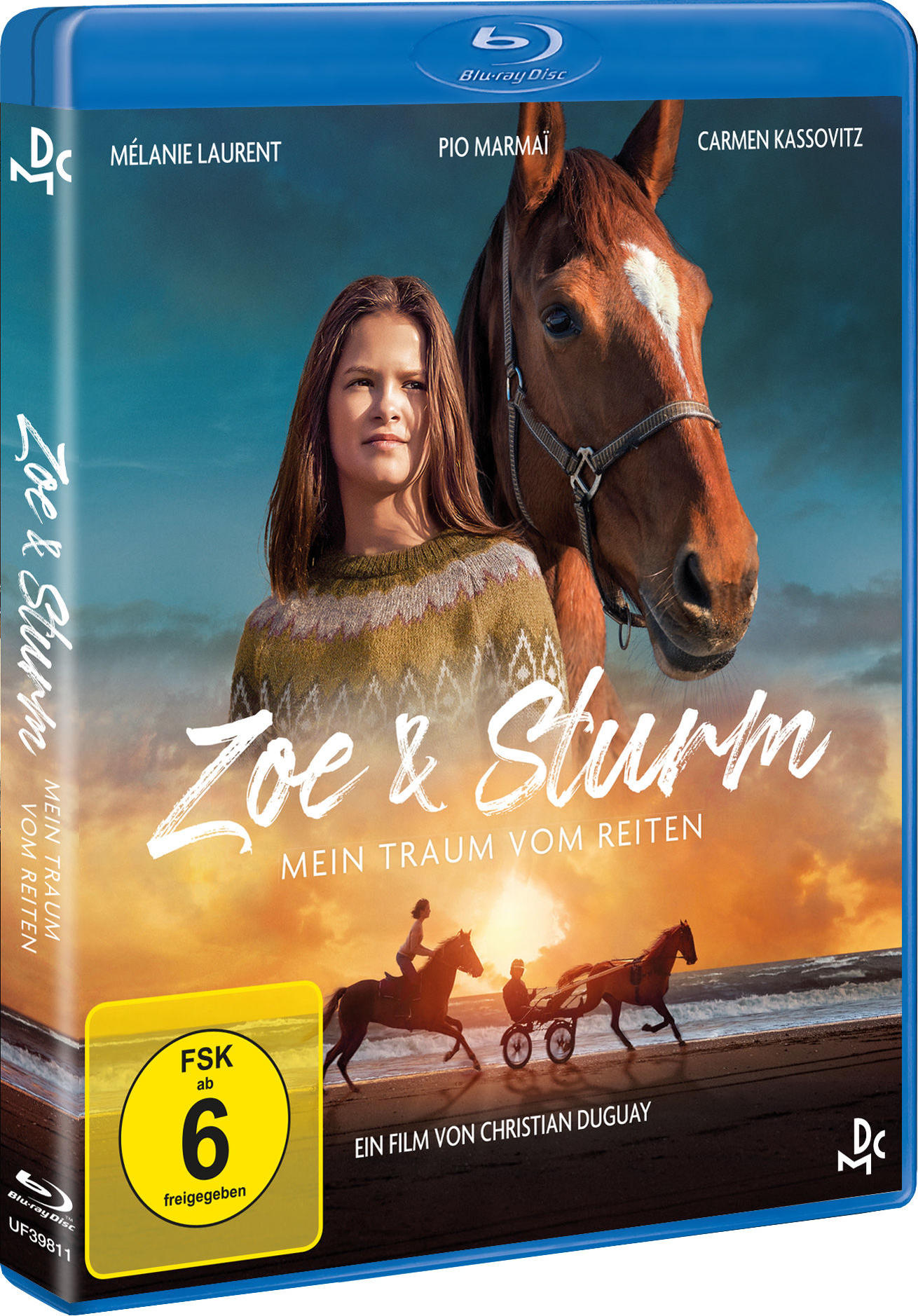 DVD-Hülle eines Films über ein Mädchen und ein Pferd mit einer Landschaft.