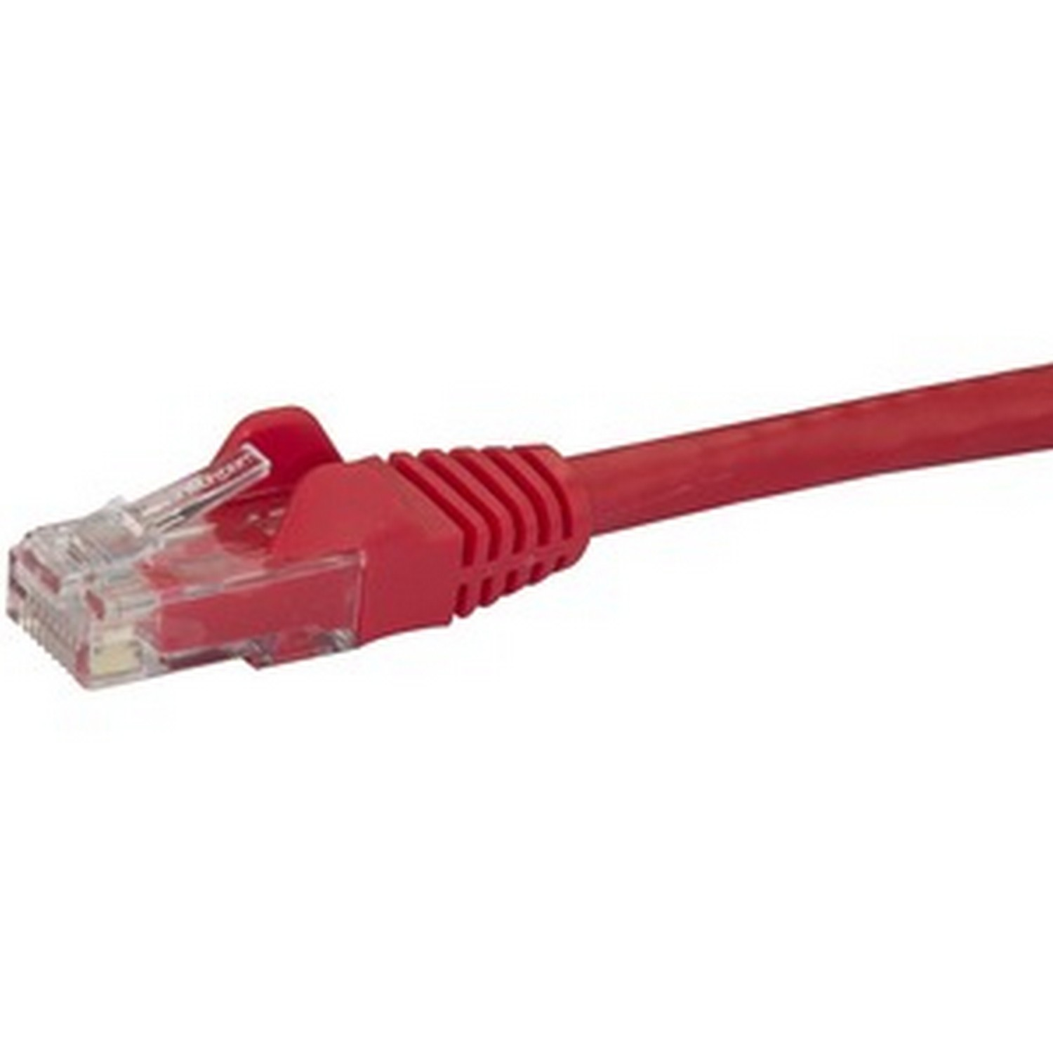 Een rode Ethernet-kabel met een doorzichtige connector op witte achtergrond.