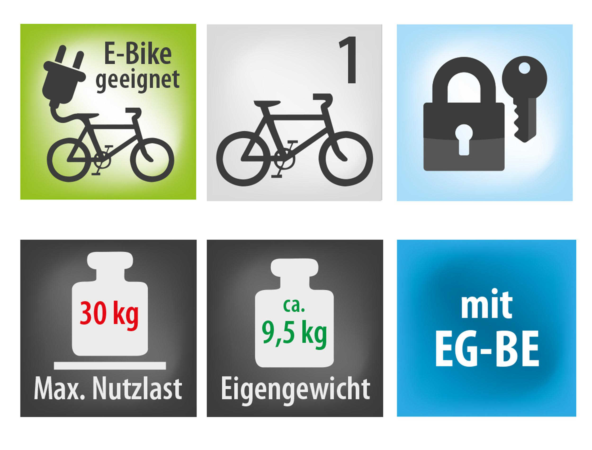 Symbole für E-Bike, Fahrrad, Schloss mit Schlüssel und Gewichtsbeschränkungen.