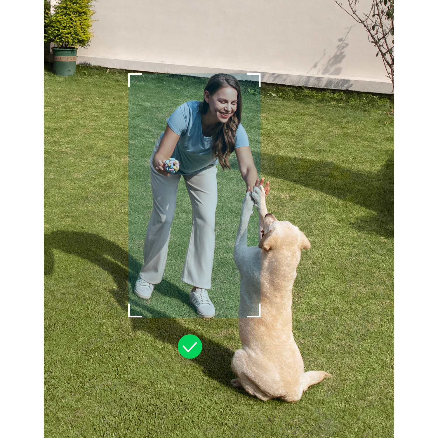 Een vrouw speelt met een hond op het gras, de hond springt om de bal te vangen.