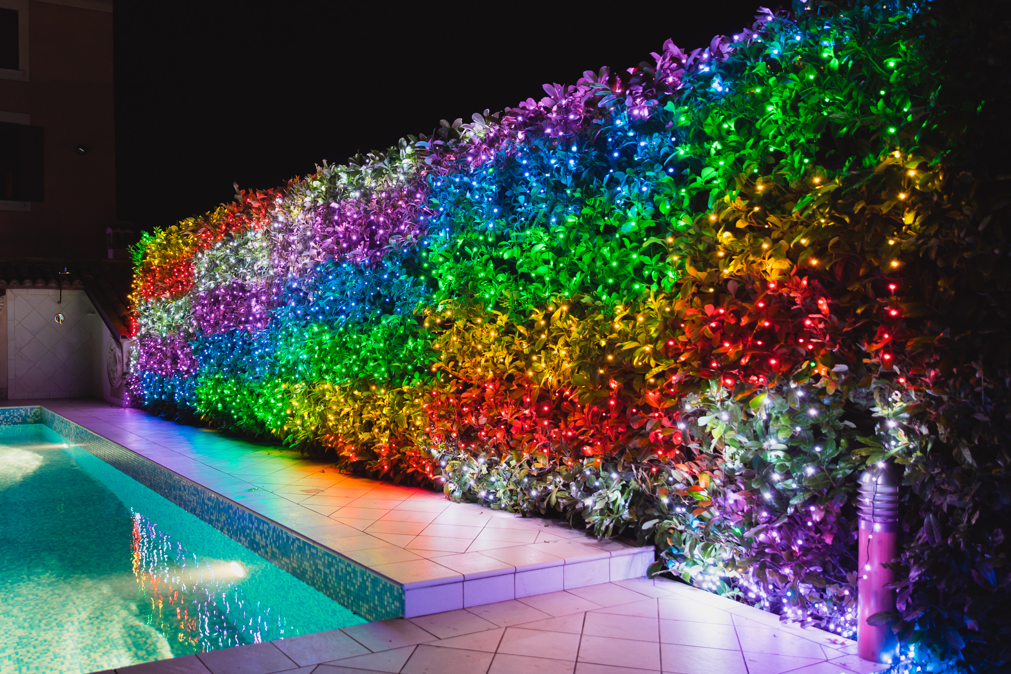 Eine Hecke mit bunten Lichtern beleuchtet, neben einem Pool bei Nacht.