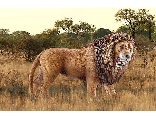 SCHLEICH Wild Life : Lion - Figurine (brun)