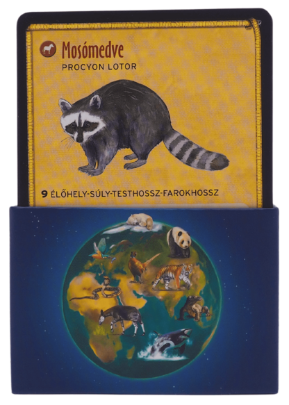 Állatkártya mosómedve illusztrációval és szöveggel, kártyatartóban.