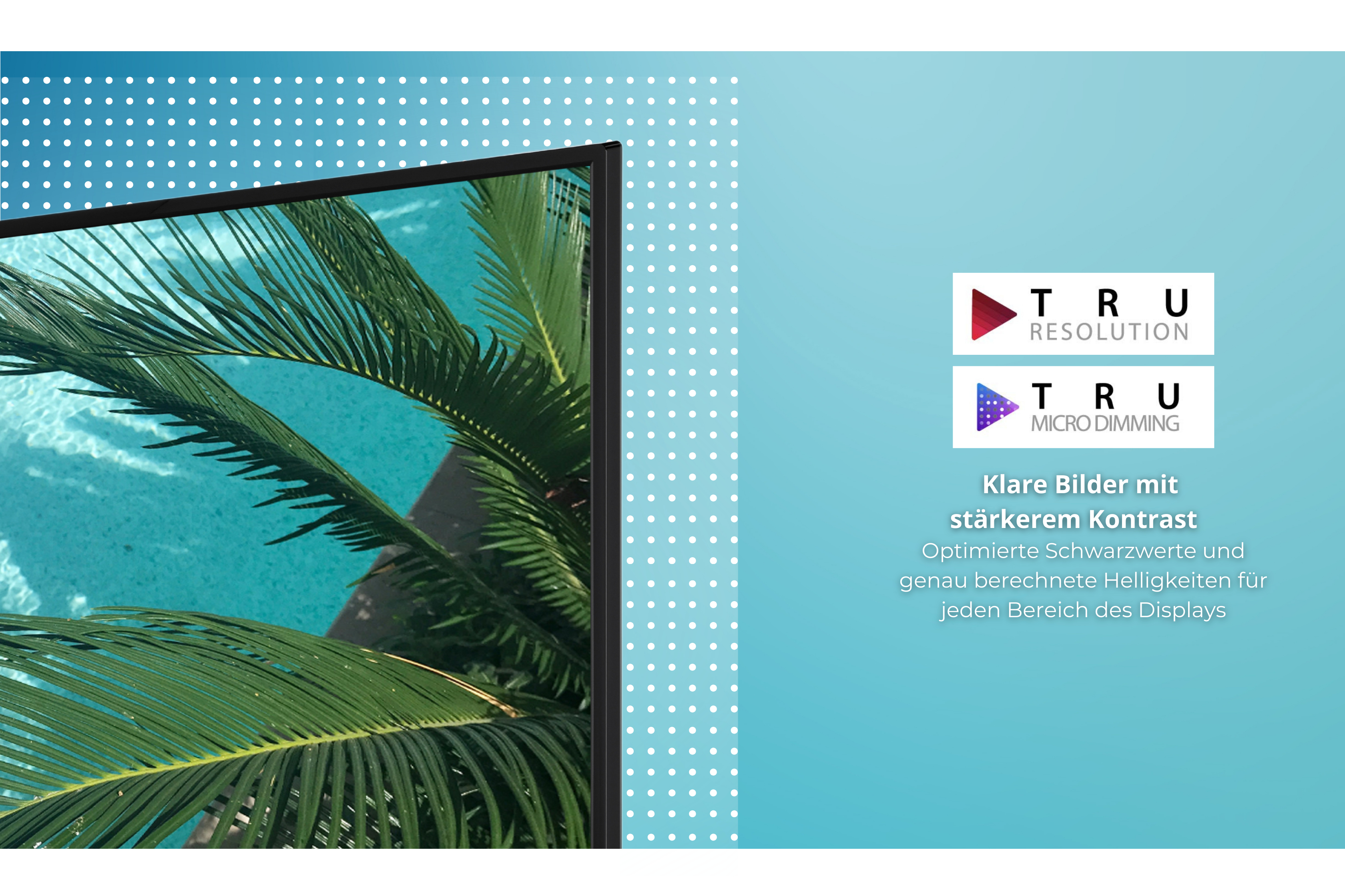 Fernsehbildschirm mit Palmblatt, blauem Wasserhintergrund und Produktlogos. Text zur Förderung von Auflösung und Kontrast.