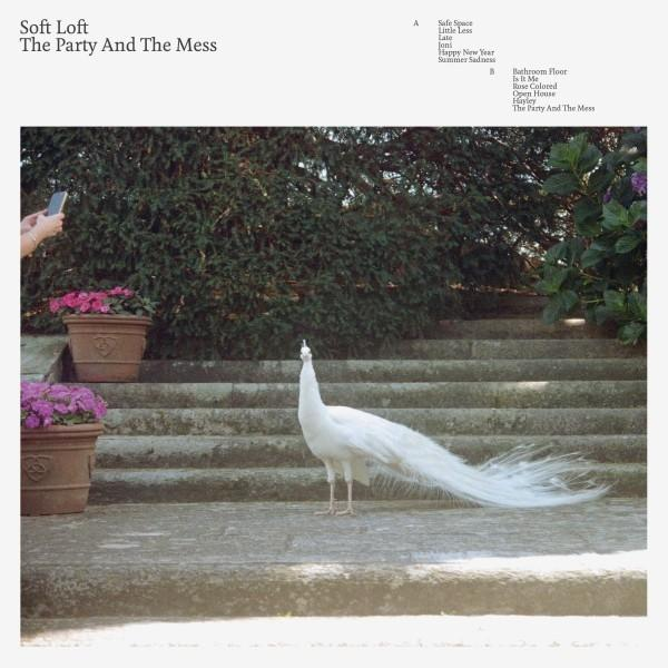 Party - Mess The The Loft - (Vinyl) Soft And