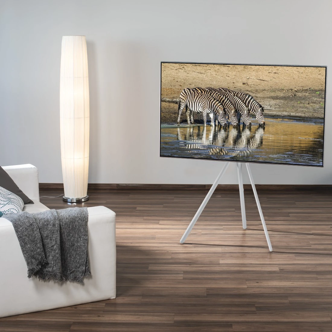 Wohnzimmer mit TV, weißem Ständer, Zebras auf dem Bildschirm, weißem Sofa und Stehlampe.