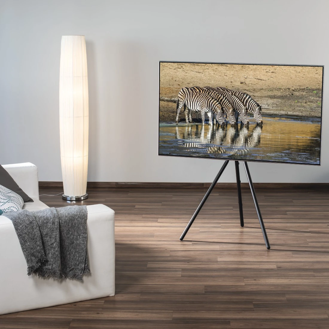 Wohnzimmer mit Fernseher auf einem Stativ, weißem Sofa und Stehlampe.