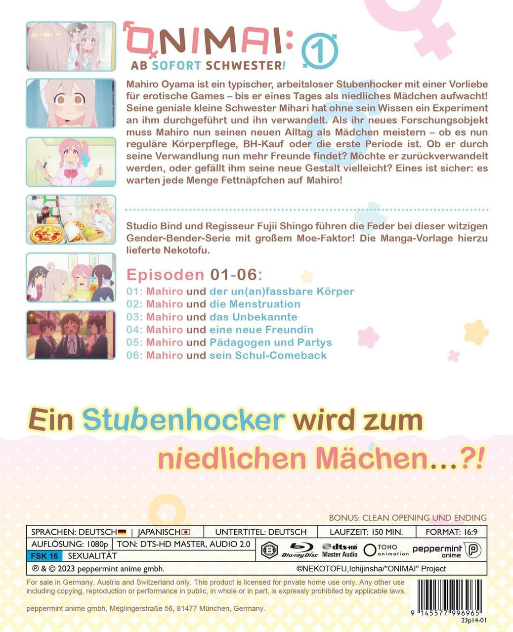 Eine DVD-Hülle mit einem Manga-Cover.