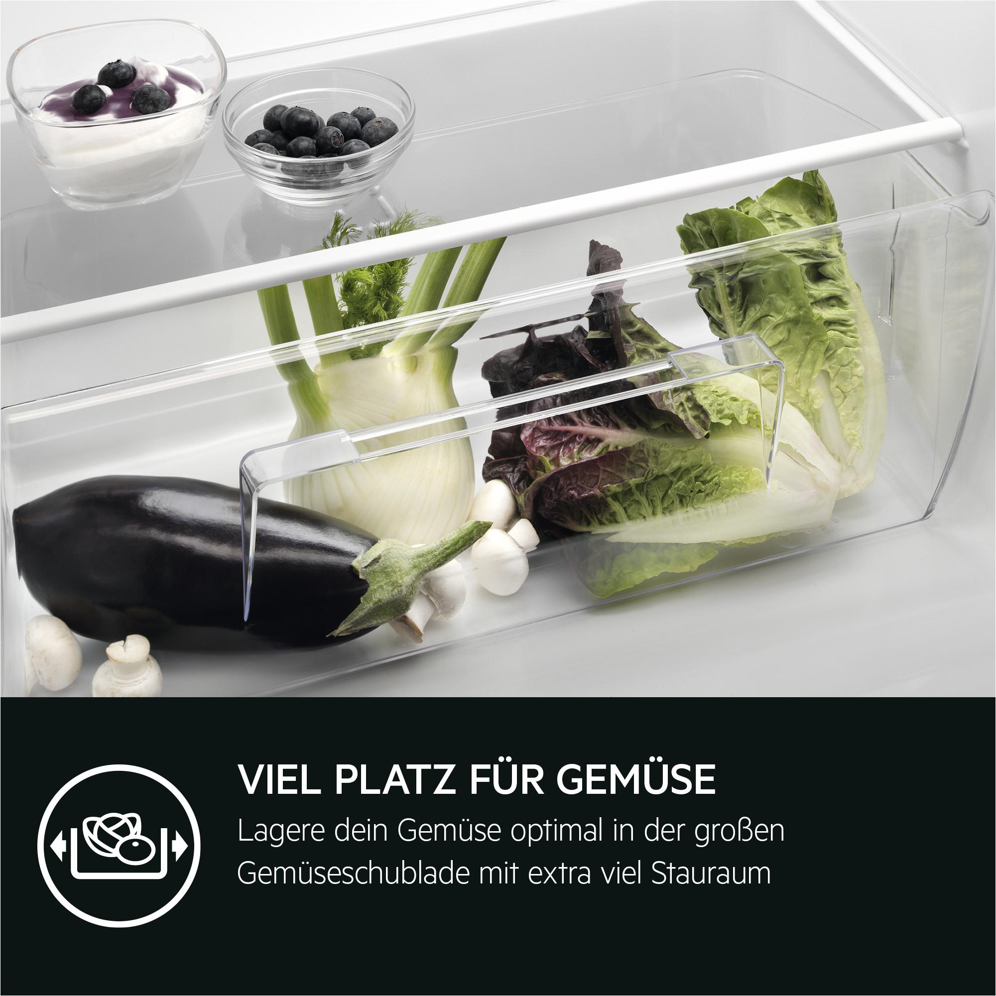 Kühlschublade mit Gemüse: Aubergine, Salat, Fenchel, Blaubeeren und Joghurt.