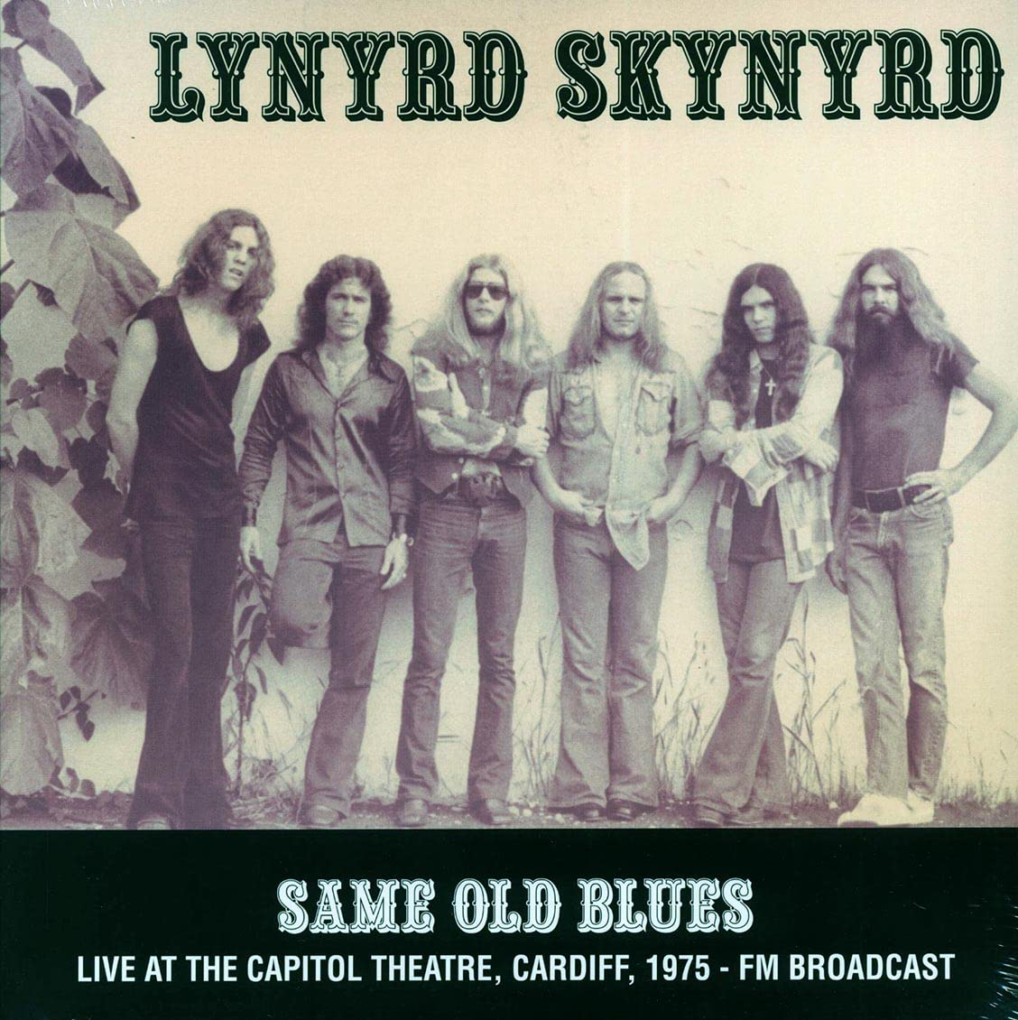 A Lynyrd Skynyrd 'Same Old Blues' című albumának borítója. Férfiak csoportja áll együtt a képen.