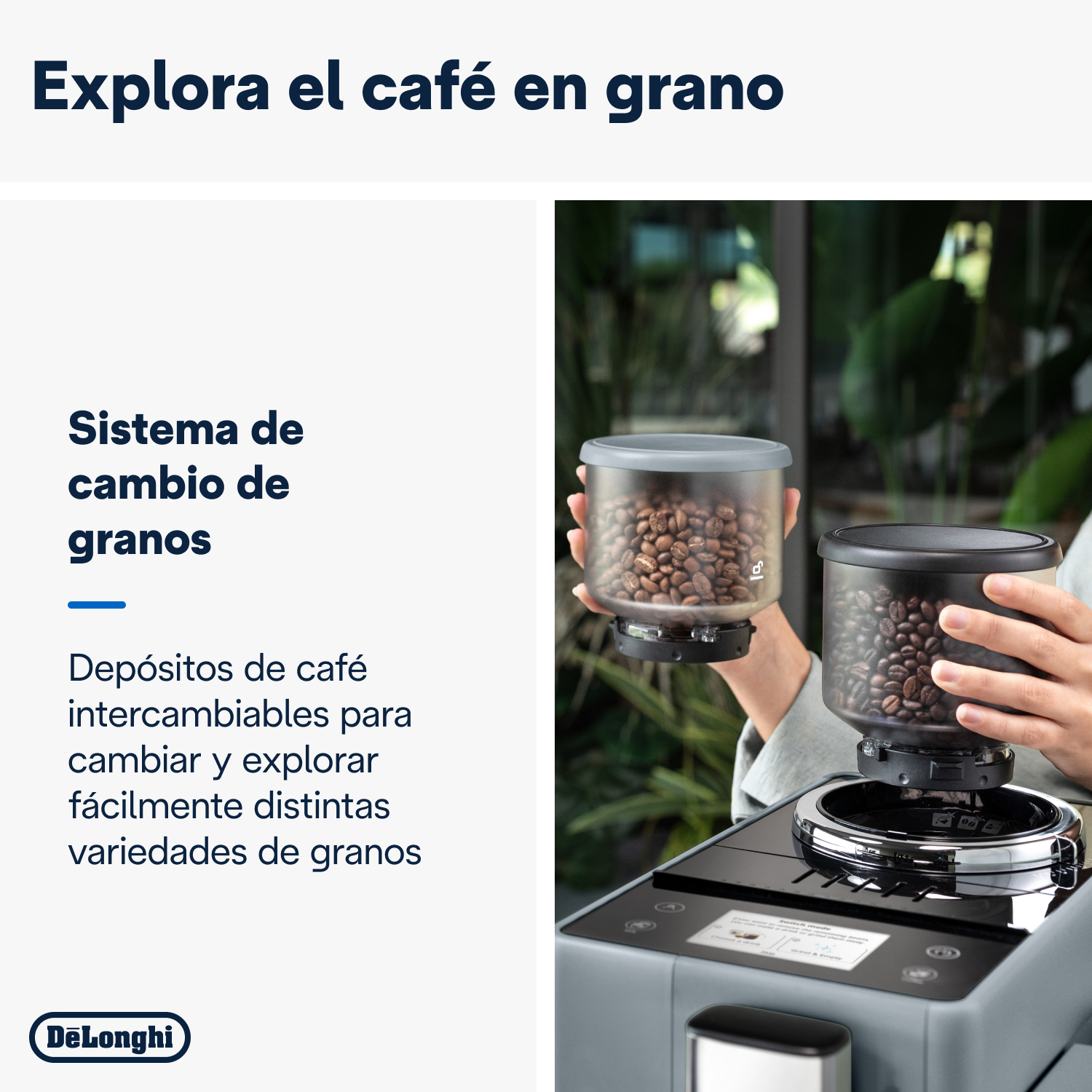 Una persona sosteniendo recipientes de granos de café sobre una cafetera. El texto en español describe el proceso.