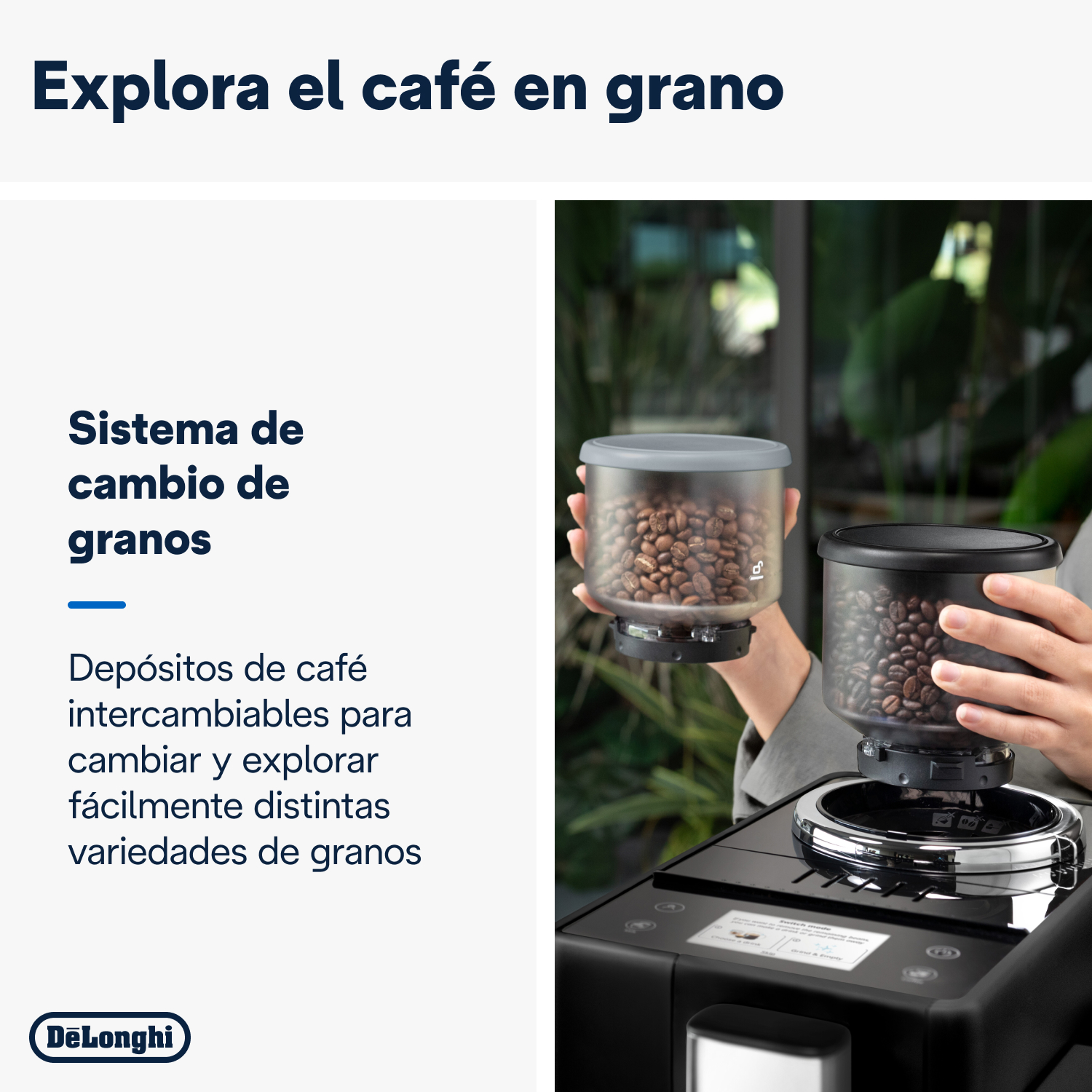 Manos sosteniendo recipientes de granos de café con texto sobre explorar granos.