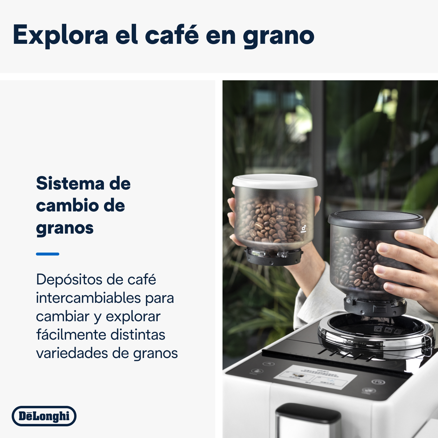 Persona sosteniendo recipientes de granos de café cerca de una cafetera. Texto: Explora granos de café.