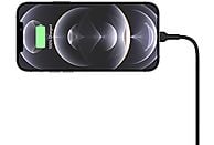 BELKIN MagSafe magnetische autolader Zwart (WIC004BTBK-NC)