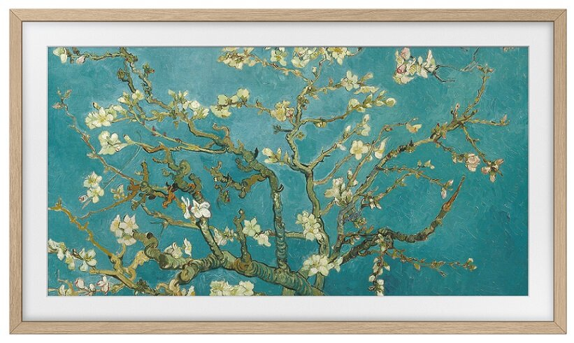 Obraz kwitnącego migdałowca z białymi kwiatami na niebieskim tle.