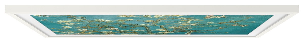 Oprawione dzieło sztuki przedstawiające drzewo z białymi kwiatami na turkusowym tle. Rama jest biała.