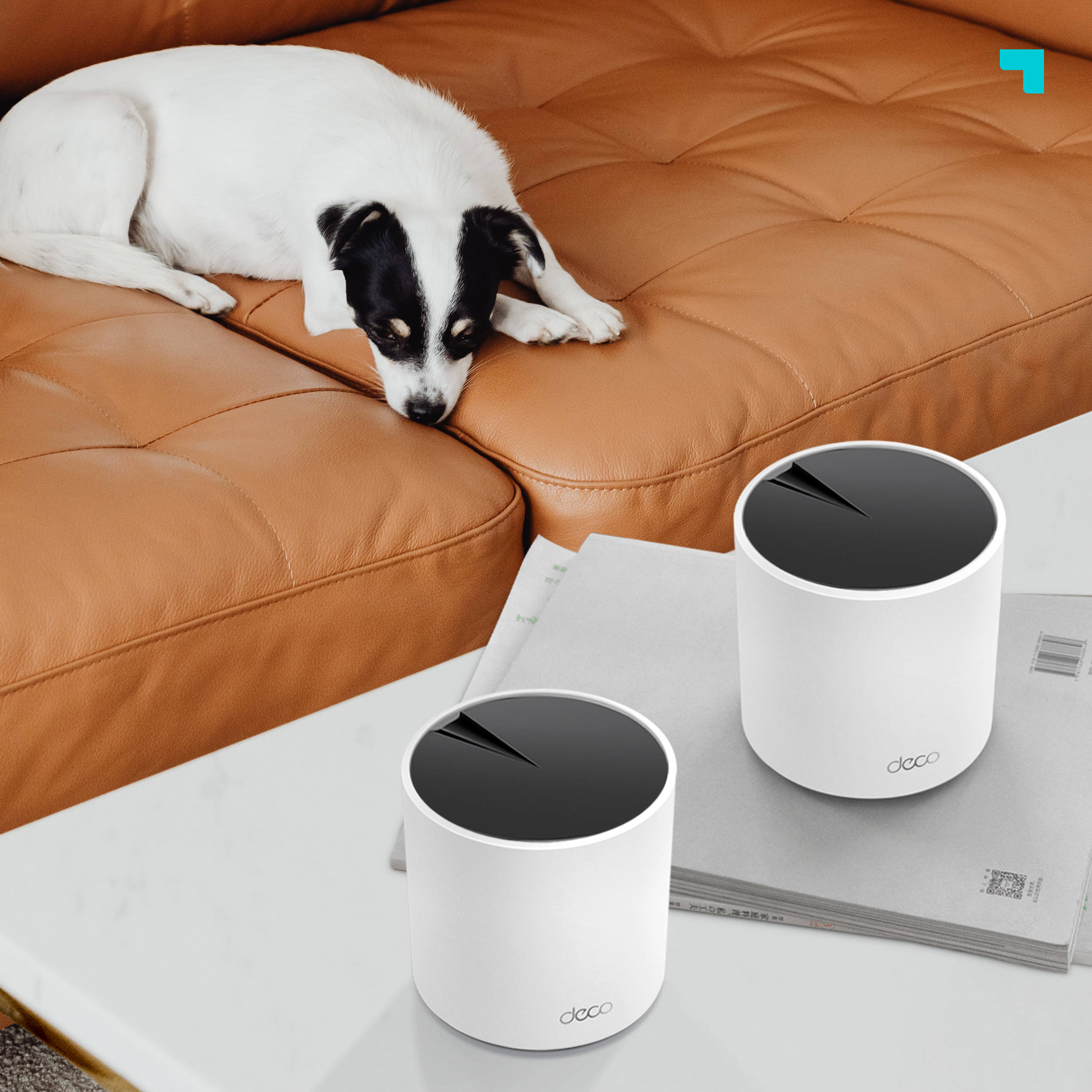 Dos dispositivos domésticos inteligentes cilíndricos blancos con tapas negras sobre una mesa. Un perro descansa en un sofá al fondo.