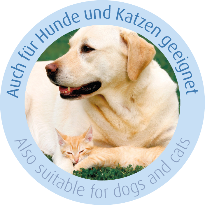 Labrador kutya fekszik egy macskával. Német és angol szöveg.