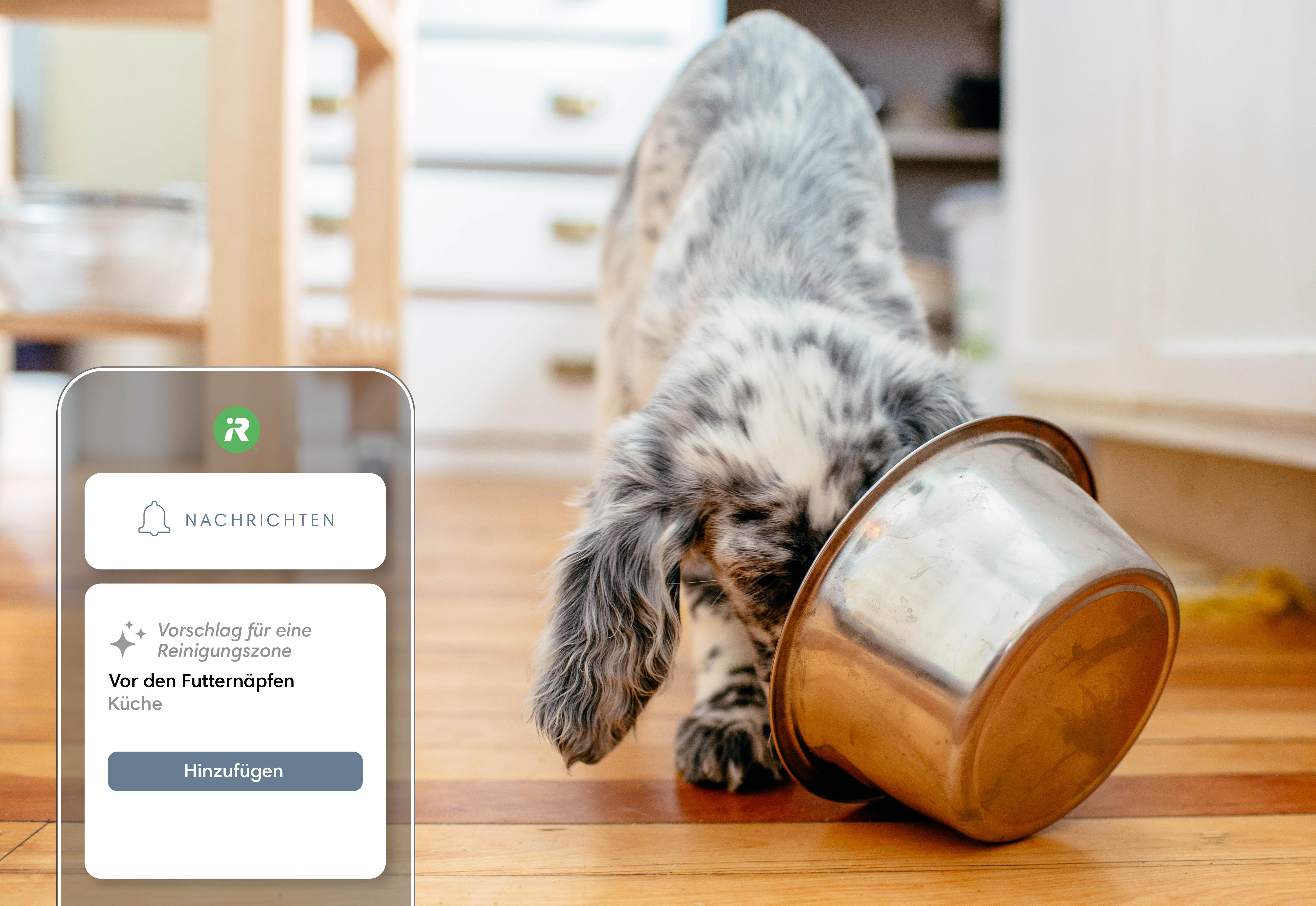 Hund frisst aus einer silbernen Schüssel. Handy-App-Oberfläche im Vordergrund. Holzboden.