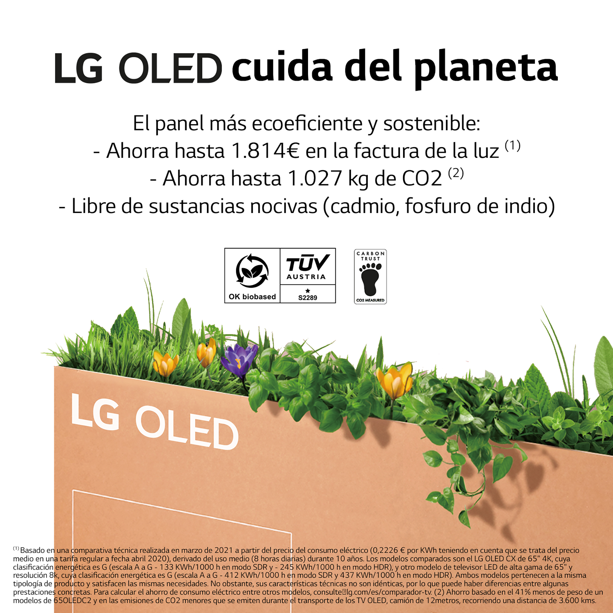 Anuncio de LG OLED con texto e imágenes, incluyendo flores y texto sobre el cuidado del planeta.