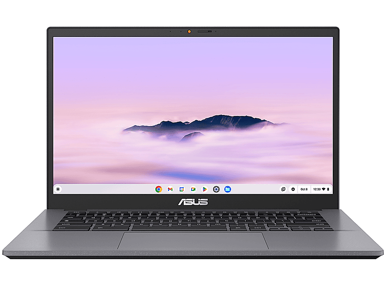 Asus Chromebook Plus Cx3402, 14", processore Intel Core I3 1215U, Intel UHD Graphics, 8 GB, 256 GB Flash, Grey Notebook Chromebook