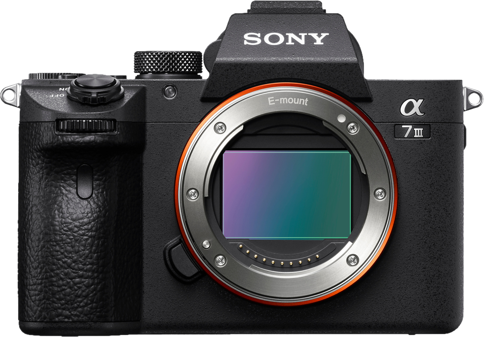 Appareil photo noir avec objectif, boutons et écran. Marque Sony sur le dessus. Couleurs grise et noire.