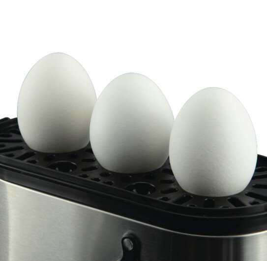 Jajowar KOENIC KEB 3219