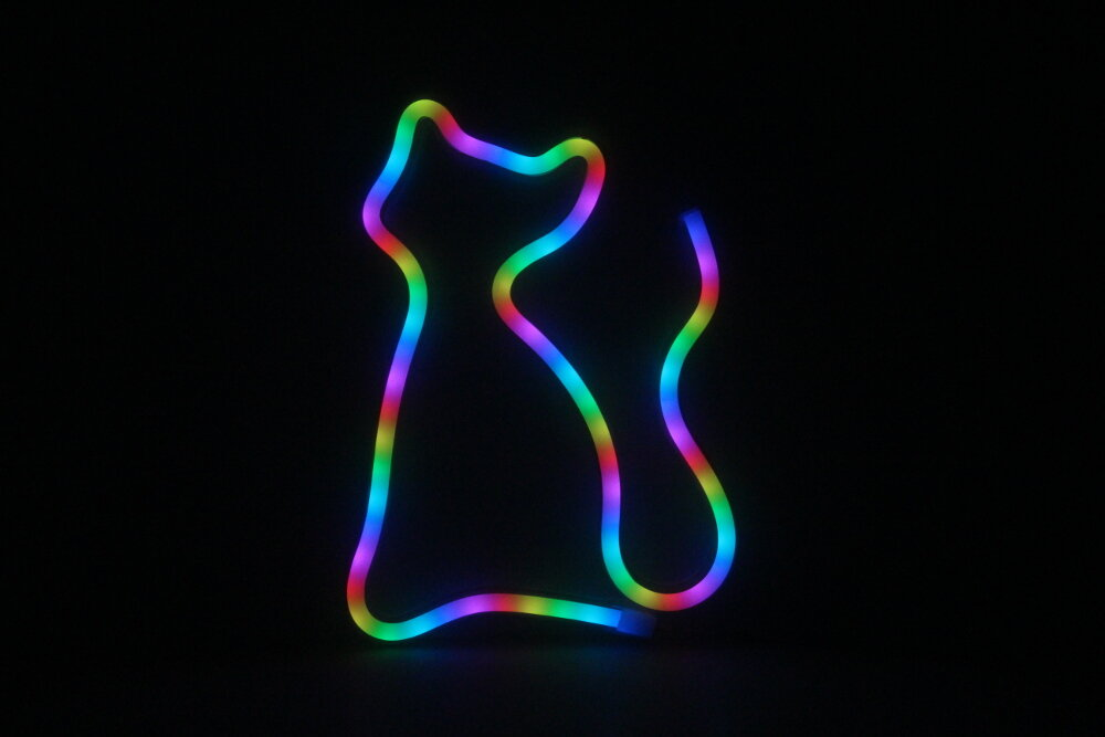 Neonowa sylwetka kota z tęczowym obrysem na czarnym tle. Nowoczesna, artystyczna.