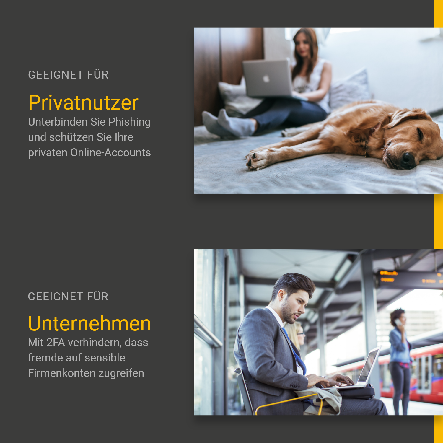 Bild zeigt Frau mit Laptop, goldener Retriever liegt auf dem Bett.