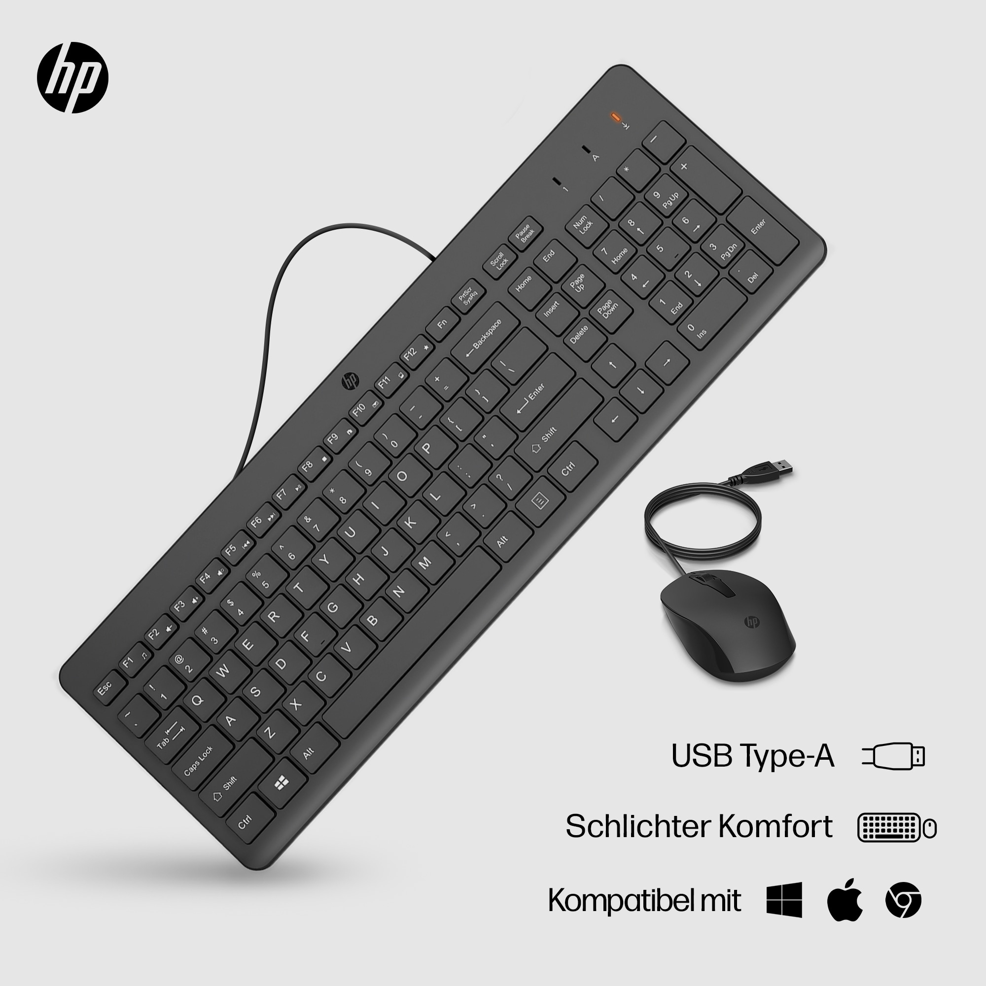Schwarzes HP-Tastatur- und Maus-Combo. USB Typ-A-Anschluss. Weißer Hintergrund.