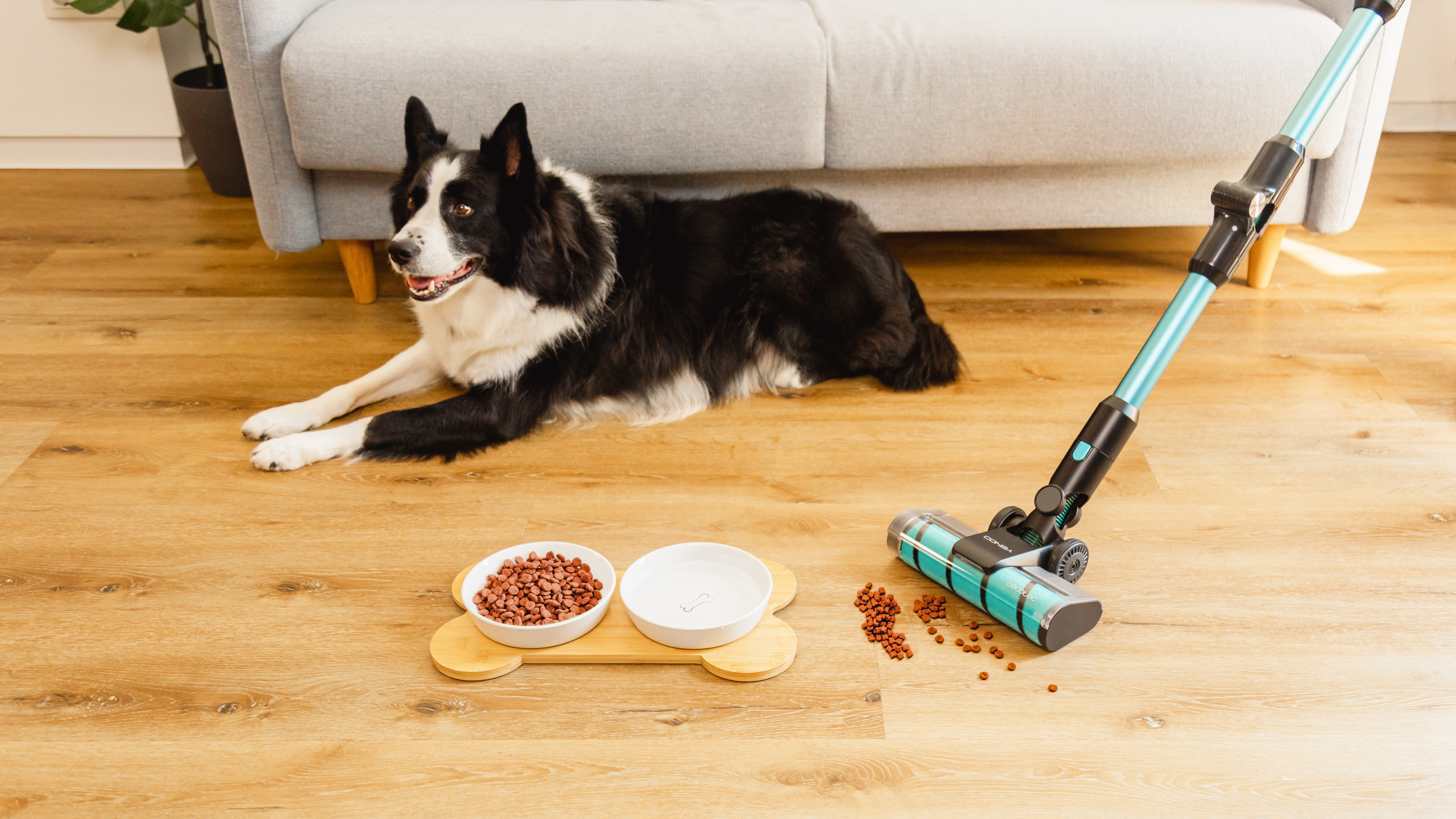 Perro y aspiradora en piso de madera. Perro acostado, comederos cerca. Aspiradora al lado.