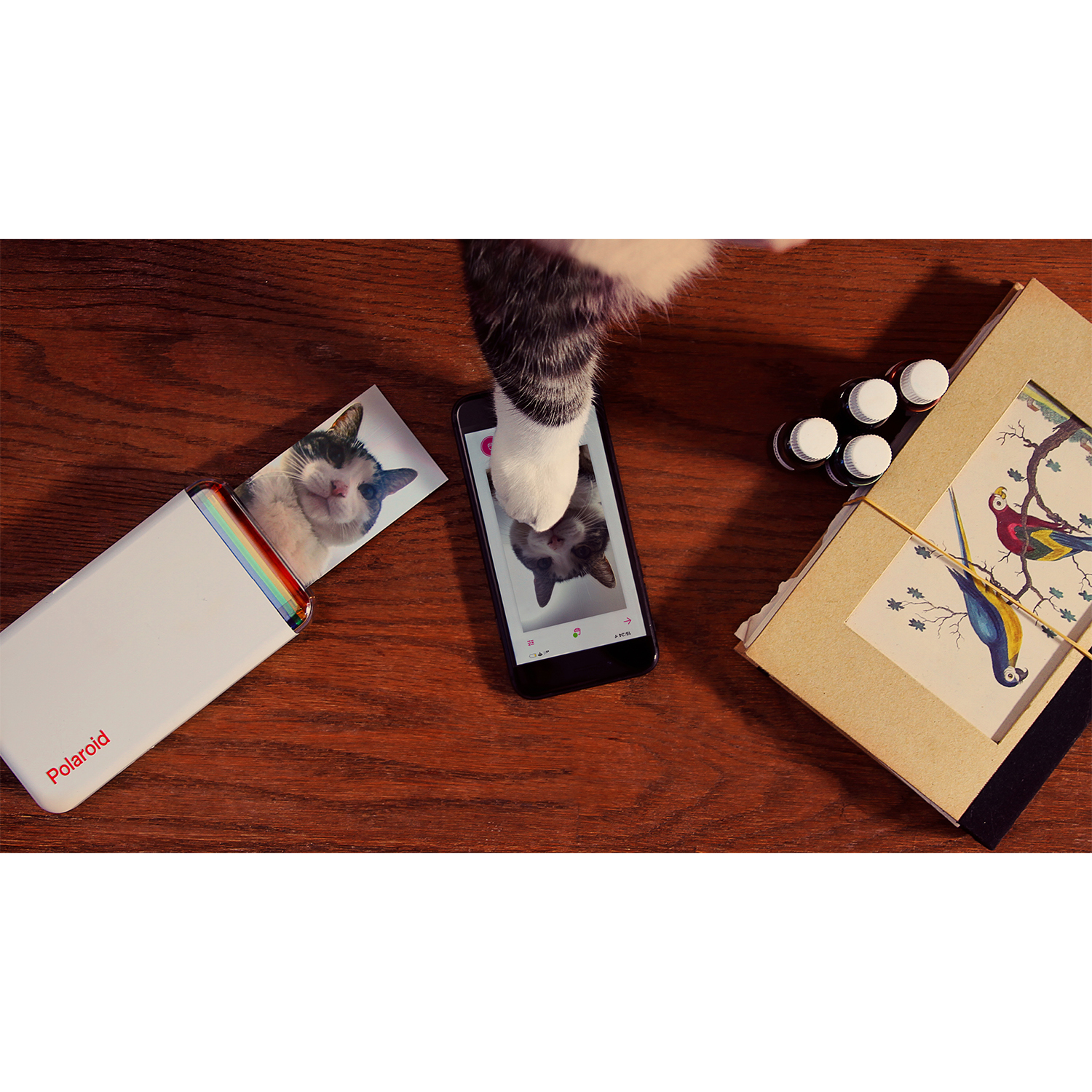 Zampa di gatto tocca telefono con foto di gatto, stampante Polaroid e altri oggetti su tavolo di legno.