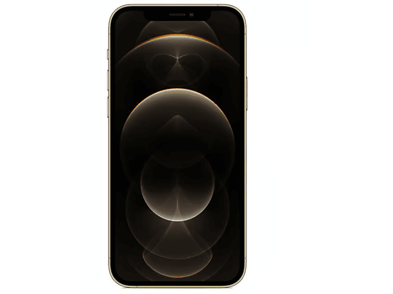 APPLE Yenilenmiş G1 iPhone 12 Pro 256 GB Akıllı Telefon Sarı Fiyat