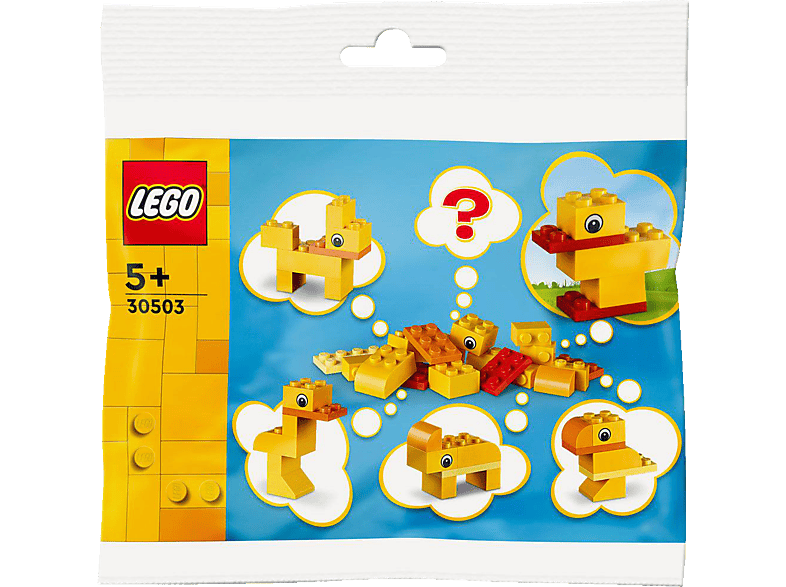 LEGO Iconic 30503 Freies Bauen: Tiere – Du entscheidest! Bausatz, Mehrfarbig