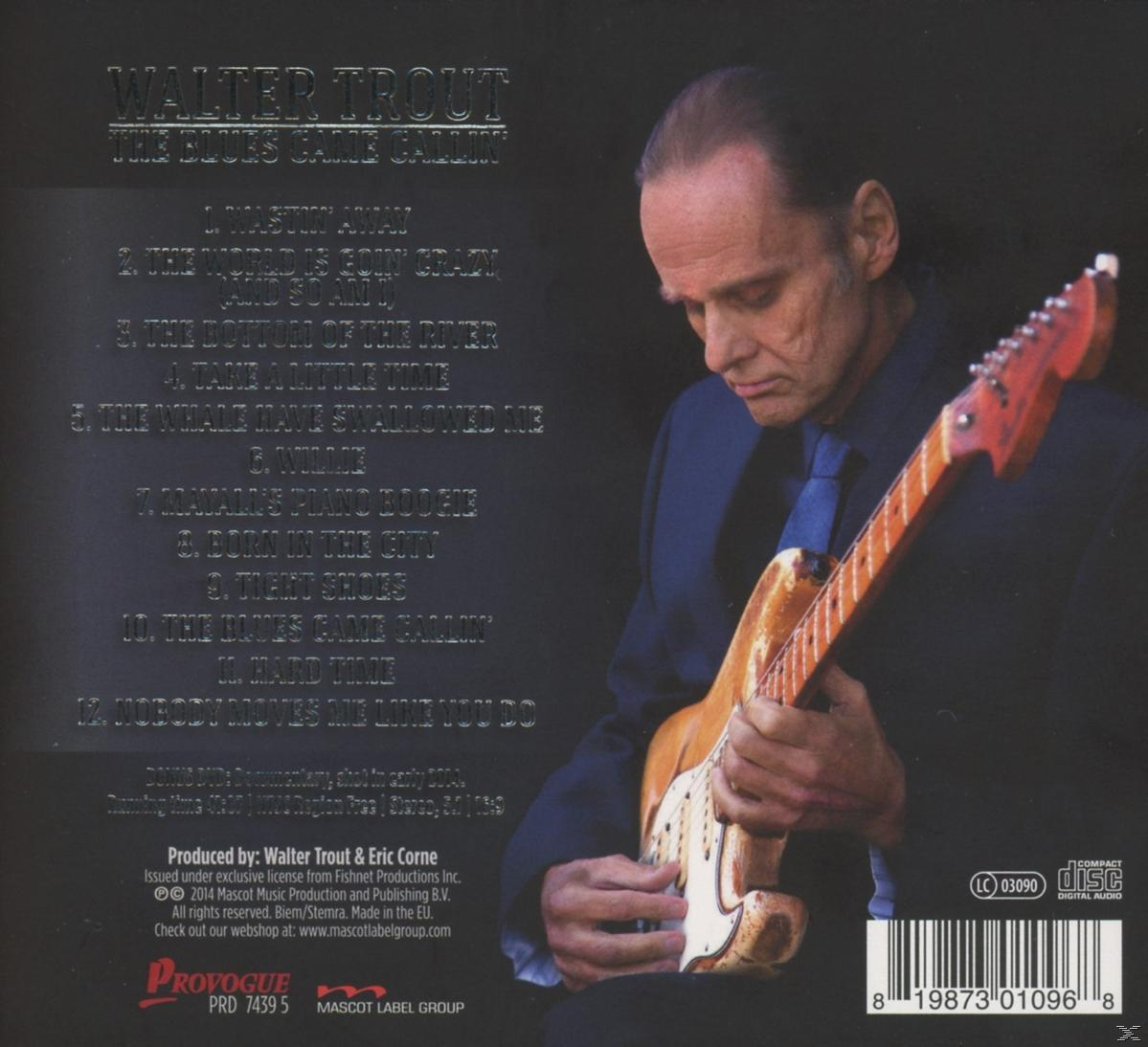 Album borító Walter Trout-tal, gitárral, számlistával és szöveggel.