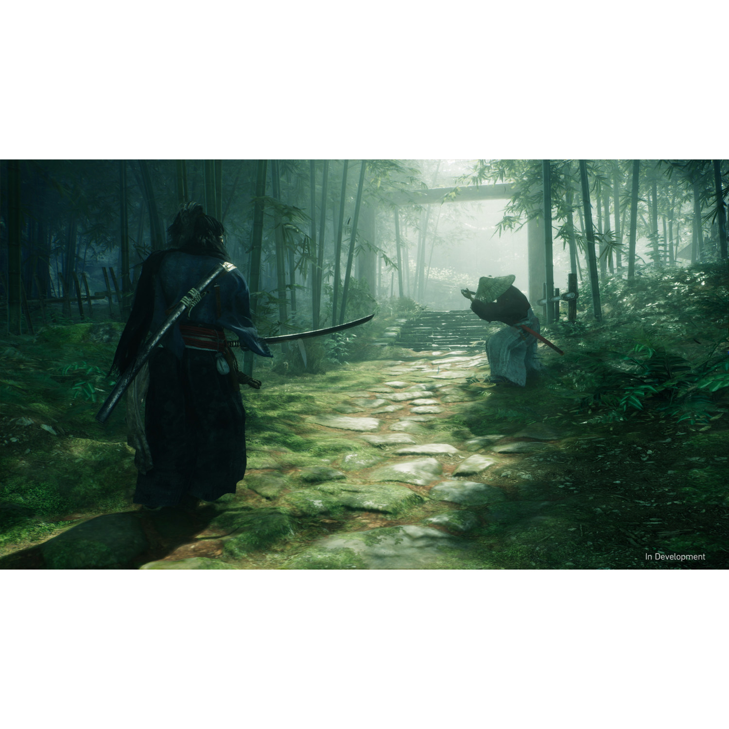 Two figures in a forest setting, one with a sword, facing each other near a gate.