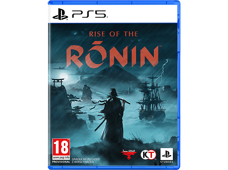 Фото - Гра Sony PLAYSTATION Gra PS5 Rise of the Ronin 