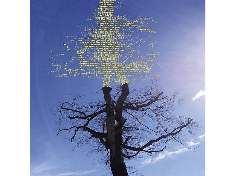 Laetitia Sadier - Rooting for Love - (CD)