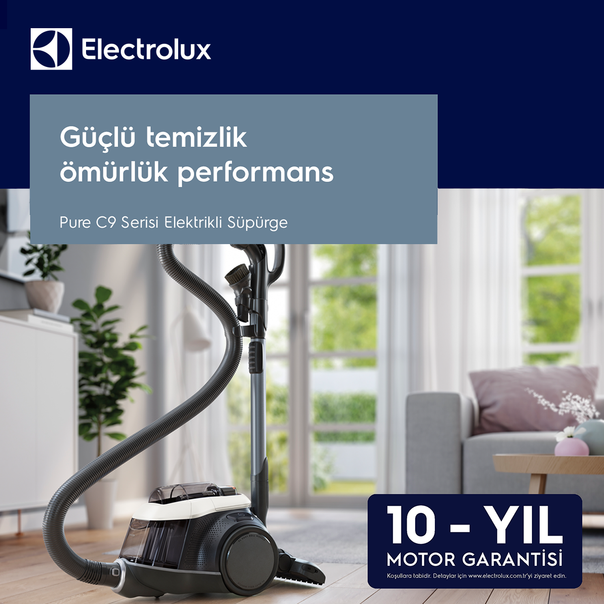 Electrolux elektrikli süpürge, mavi arka planda metin ve logo, pencere manzarası.