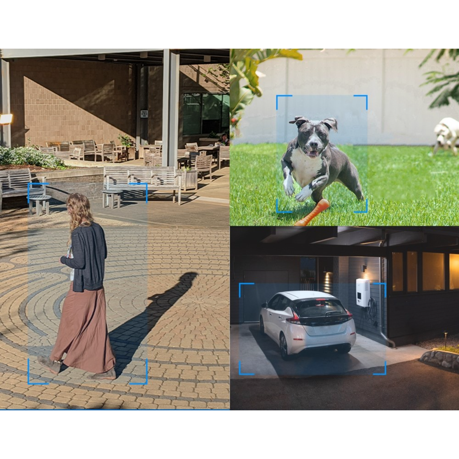 Een gesplitste afbeelding met scènes: een vrouw die loopt, een hond met een speeltje en een auto bij een laadstation.