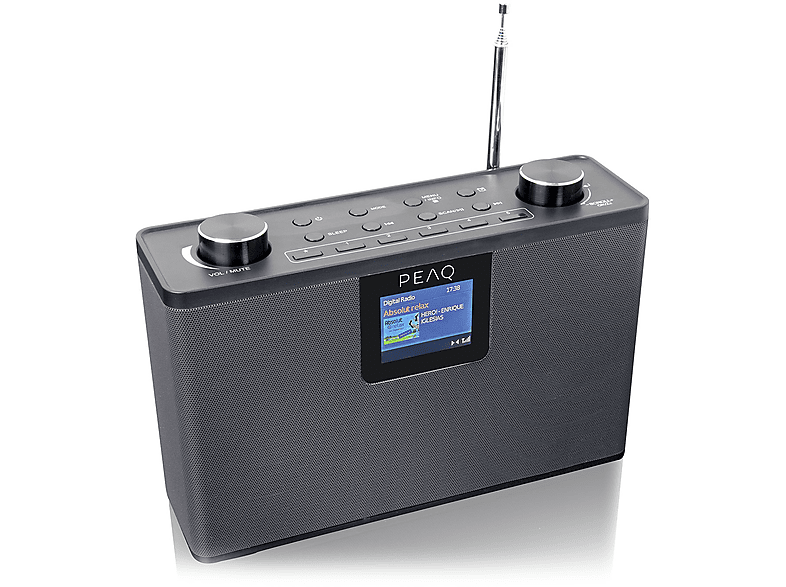 Panasonic Radio Portatile Digitale DAB+ Radiolina Display Lettore Mp3  colore Nero - RX-D552E-K